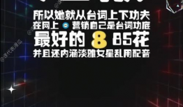 娱乐圈吃瓜现场小说,揭秘明星背后的秘密与真相